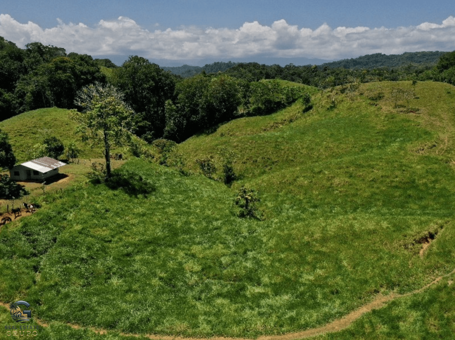 צילום מסך 2024-02-05 ב-15.10.51