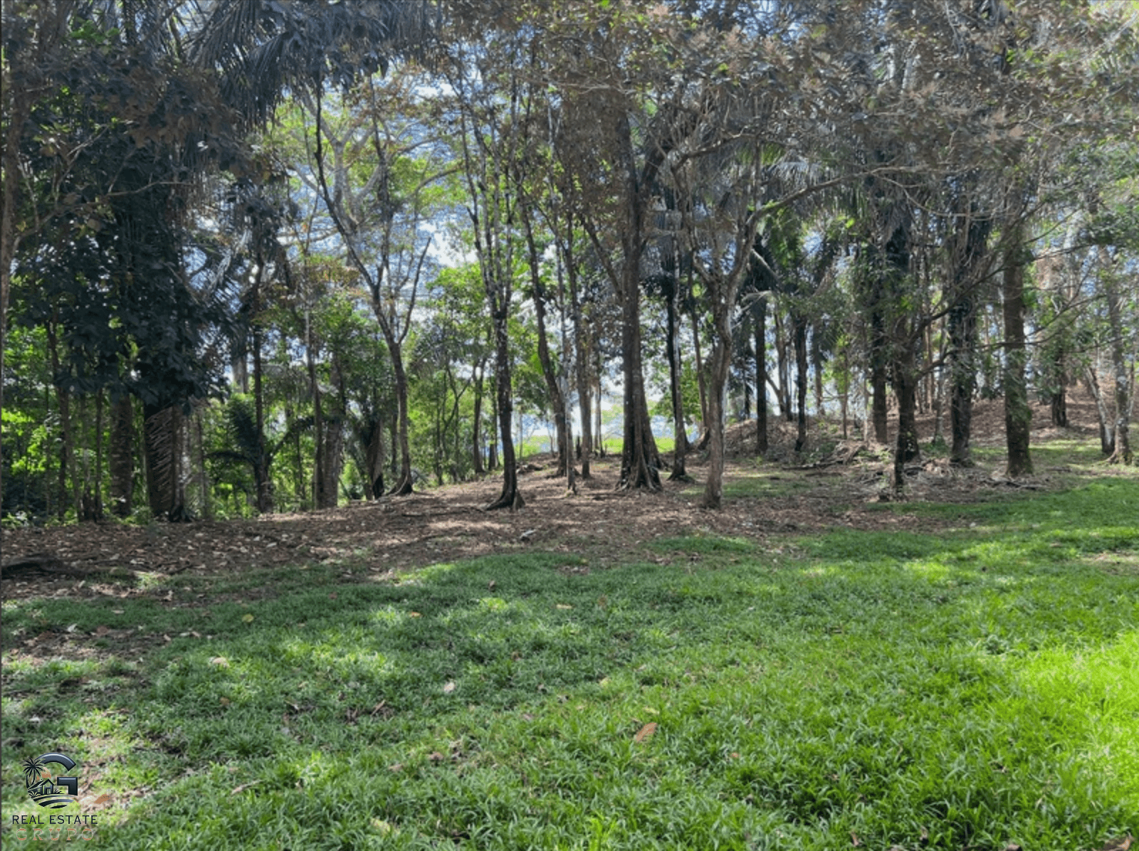 צילום מסך 2024-02-05 ב-15.10.56