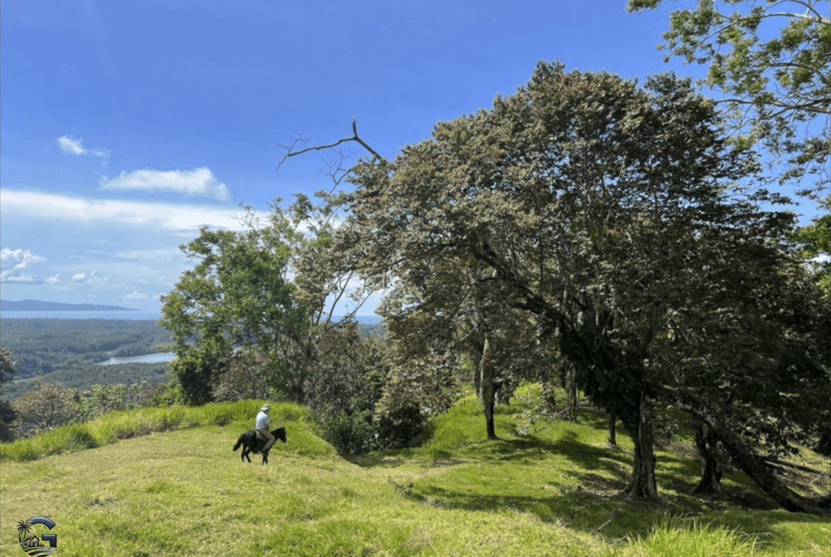צילום מסך 2024-02-05 ב-15.11.02