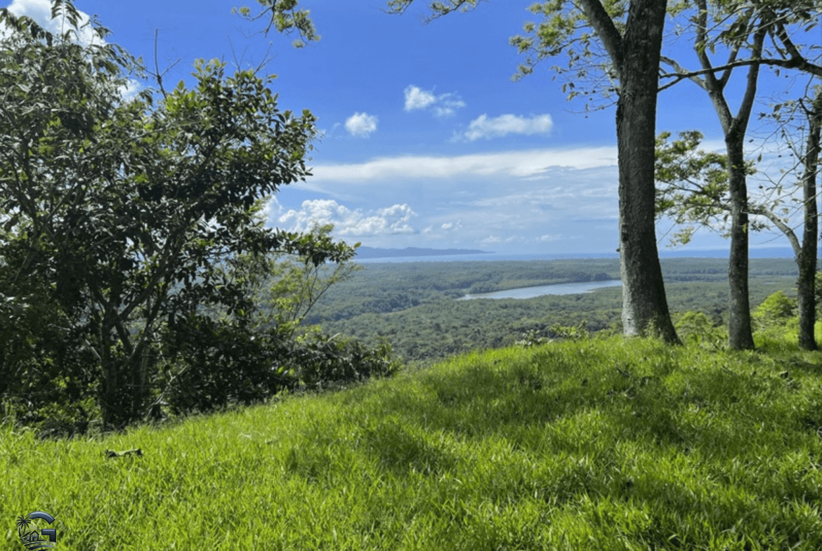 צילום מסך 2024-02-05 ב-15.11.07