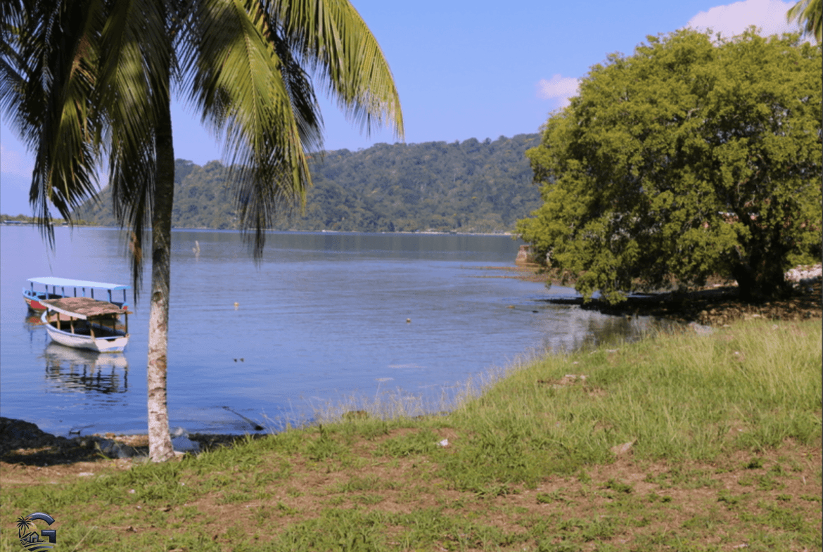 צילום מסך 2024-02-05 ב-15.43.57