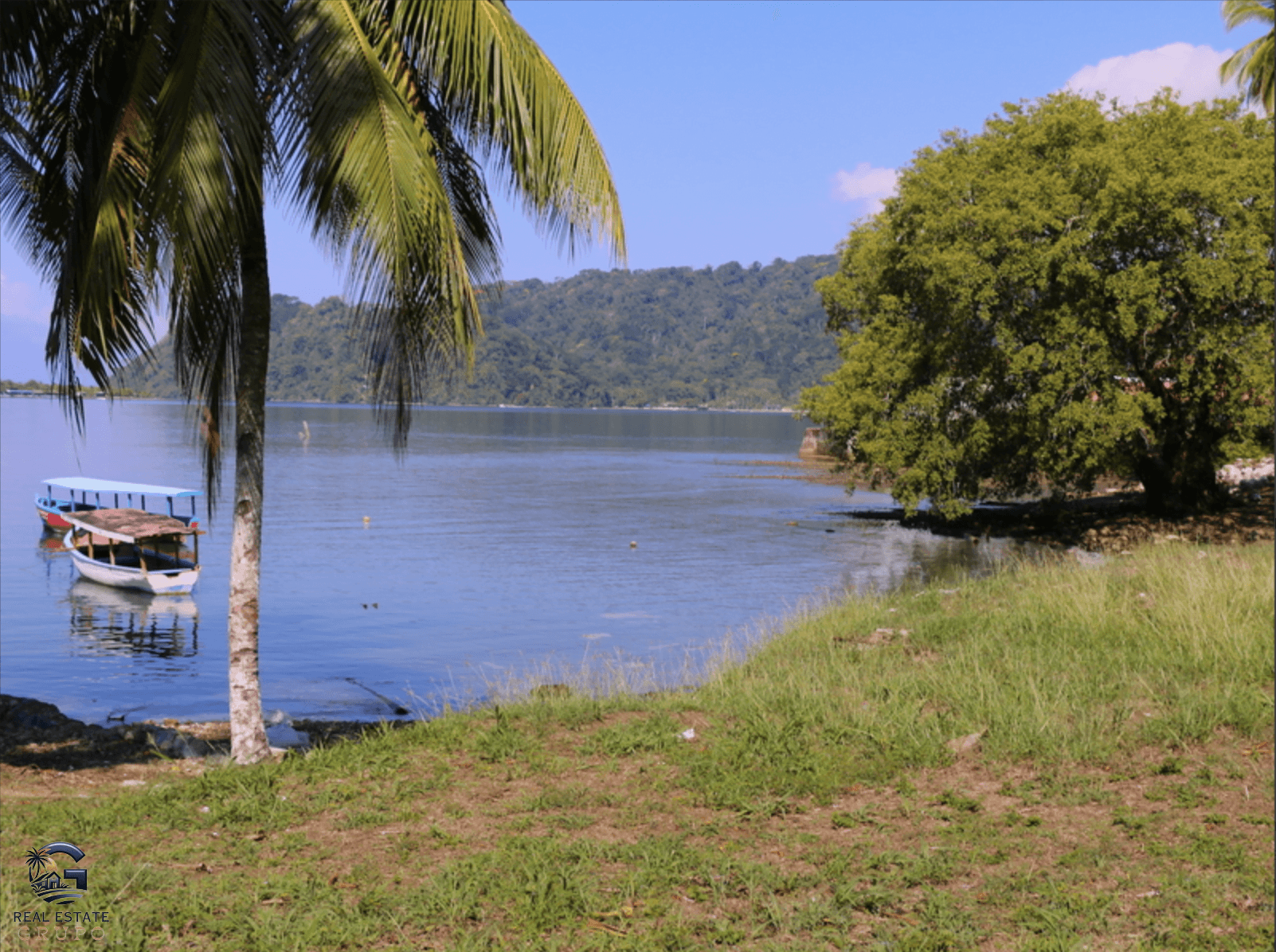 צילום מסך 2024-02-05 ב-15.43.57