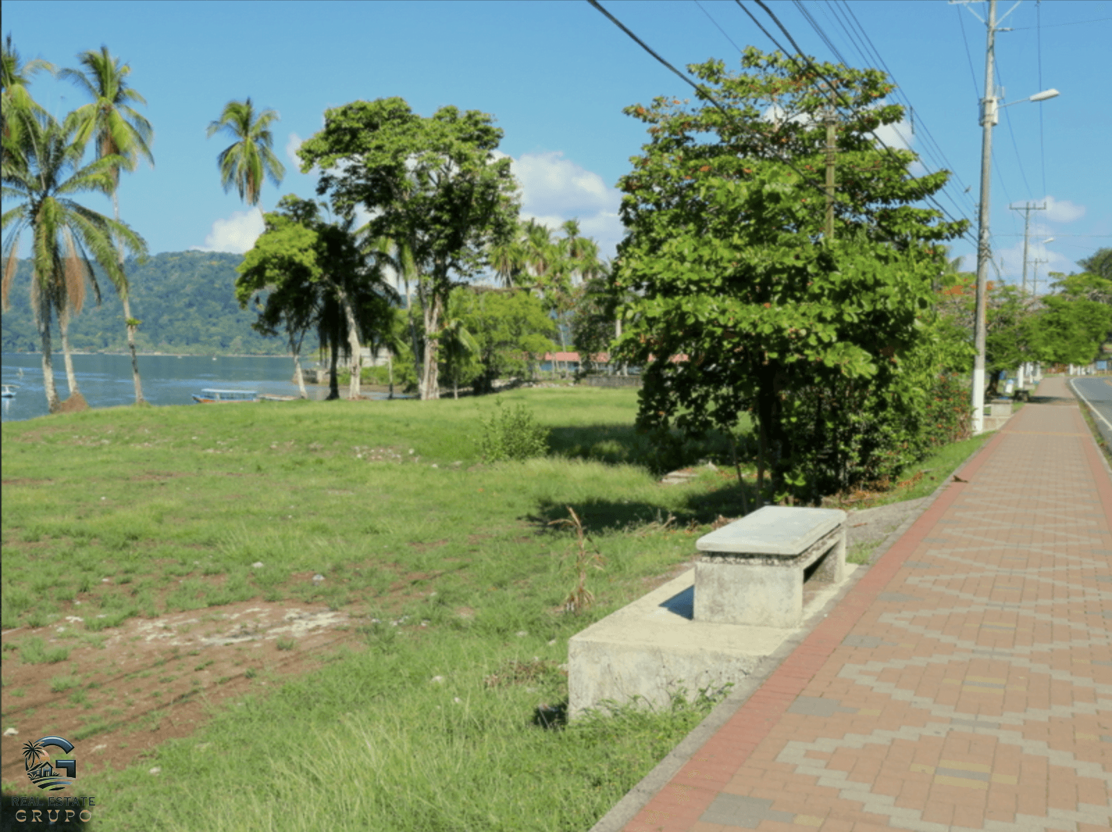 צילום מסך 2024-02-05 ב-15.44.03