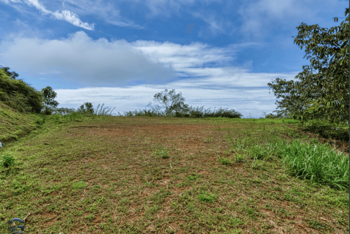 צילום מסך 2024-02-05 ב-8.51.32
