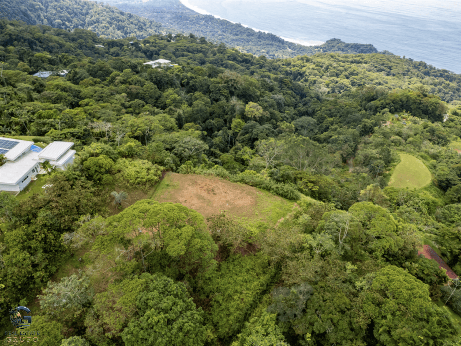 צילום מסך 2024-02-05 ב-8.51.48