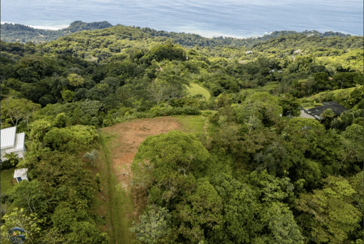 צילום מסך 2024-02-05 ב-8.52.05
