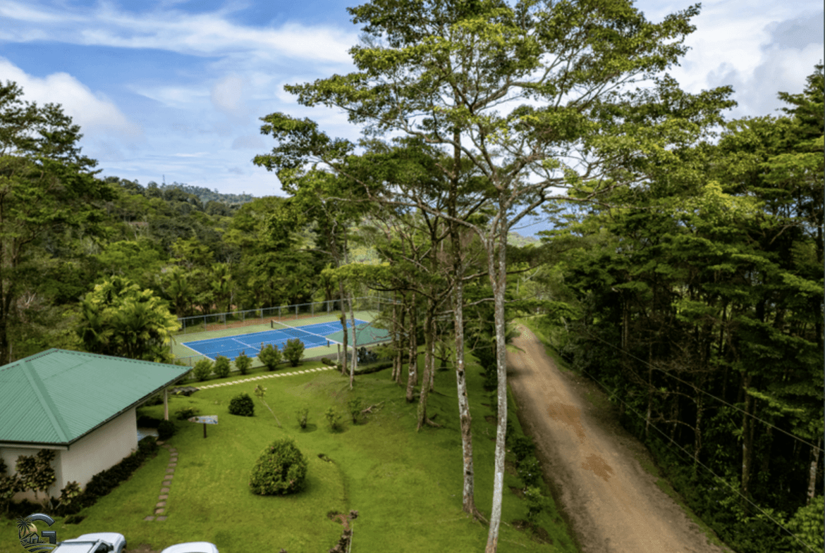 צילום מסך 2024-02-05 ב-8.53.07