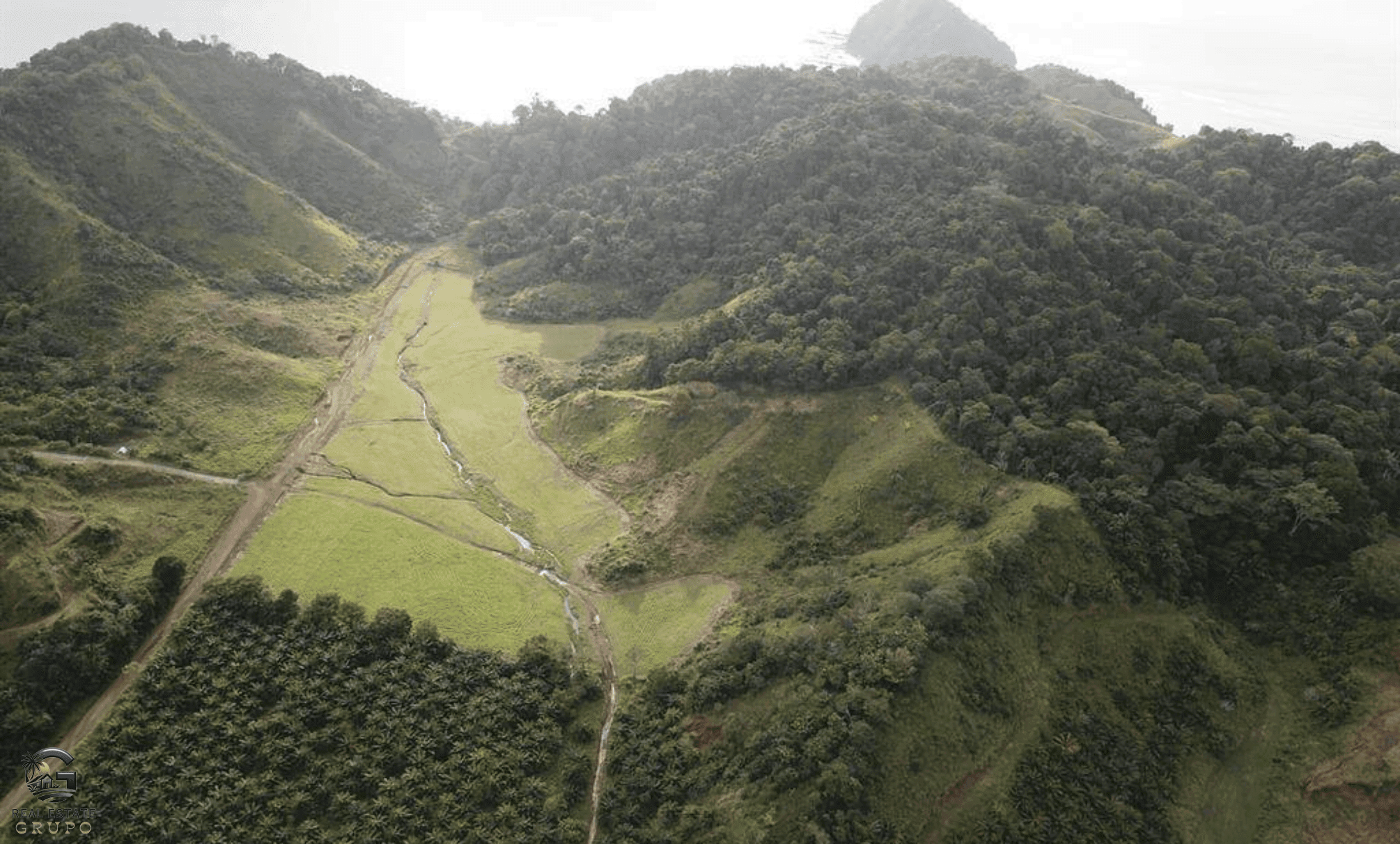 צילום-מסך-2024-02-05-ב-9.57.39-min