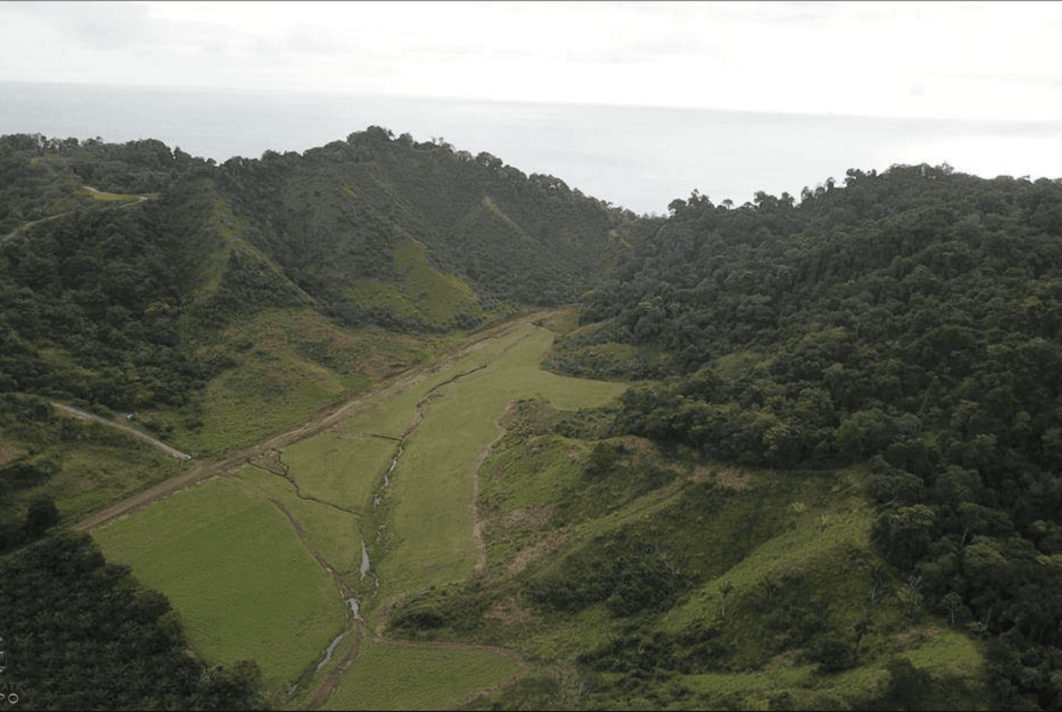 צילום-מסך-2024-02-05-ב-9.57.49-min