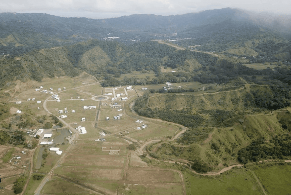 צילום-מסך-2024-02-05-ב-9.58.23-min