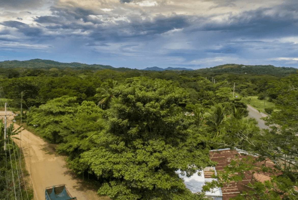 צילום מסך 2024-02-22 ב-11.24.33