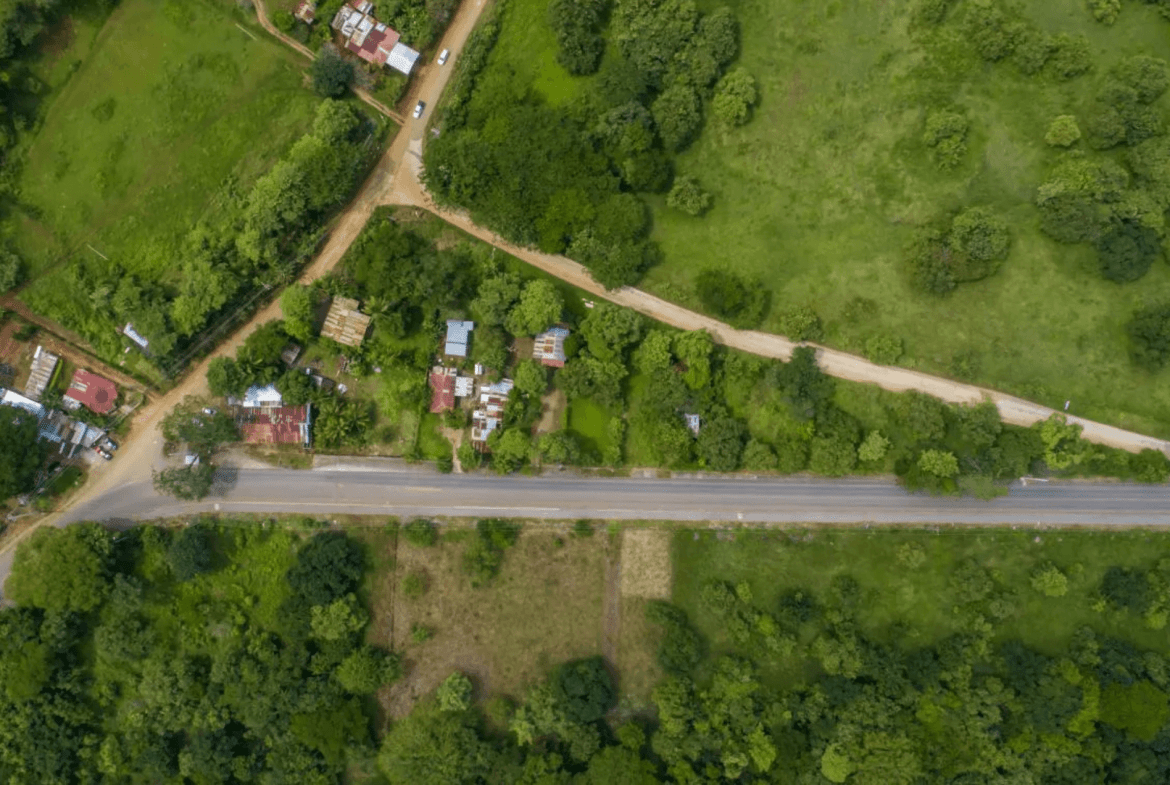 צילום מסך 2024-02-22 ב-11.24.40