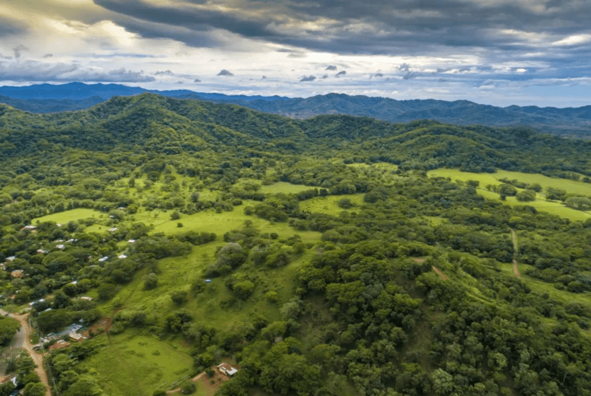 צילום מסך 2024-02-22 ב-11.24.47