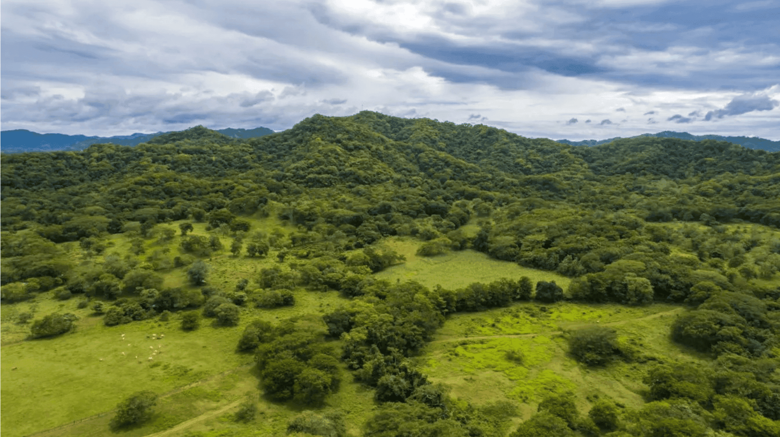 צילום מסך 2024-02-22 ב-11.24.55