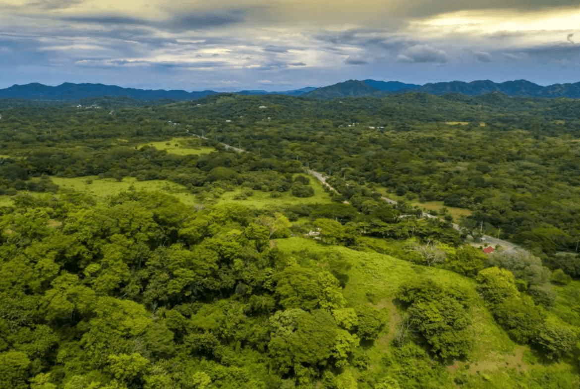 צילום מסך 2024-02-22 ב-11.25.14