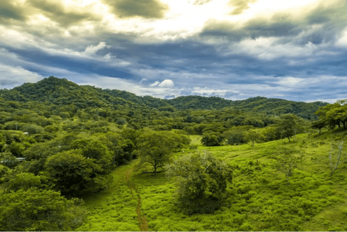 צילום מסך 2024-02-22 ב-11.25.22