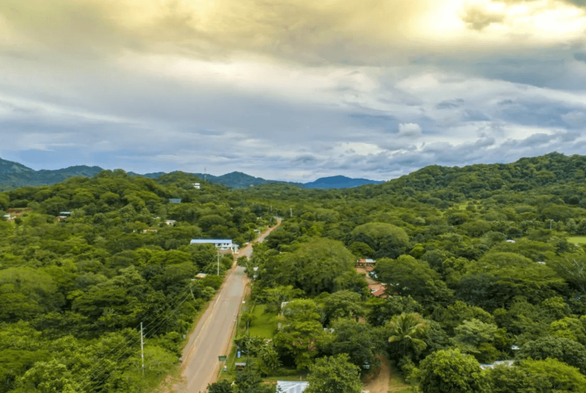 צילום מסך 2024-02-22 ב-11.25.44