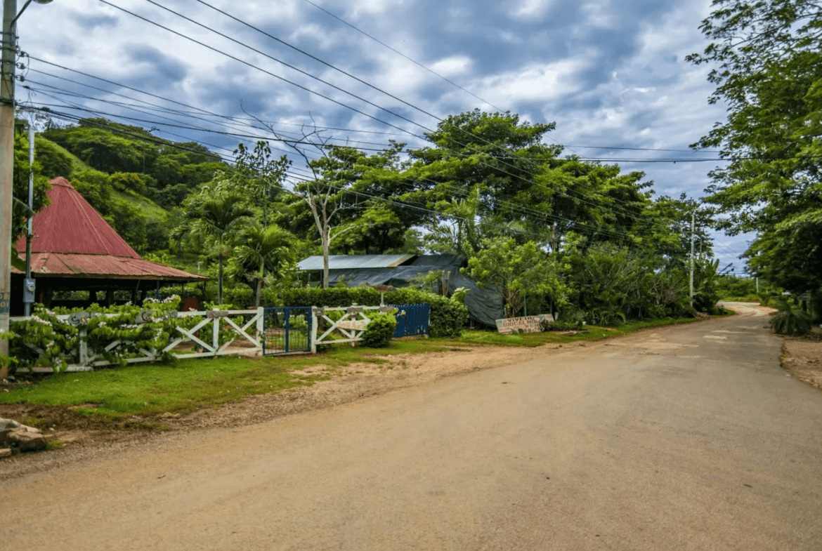 צילום מסך 2024-02-22 ב-11.26.02