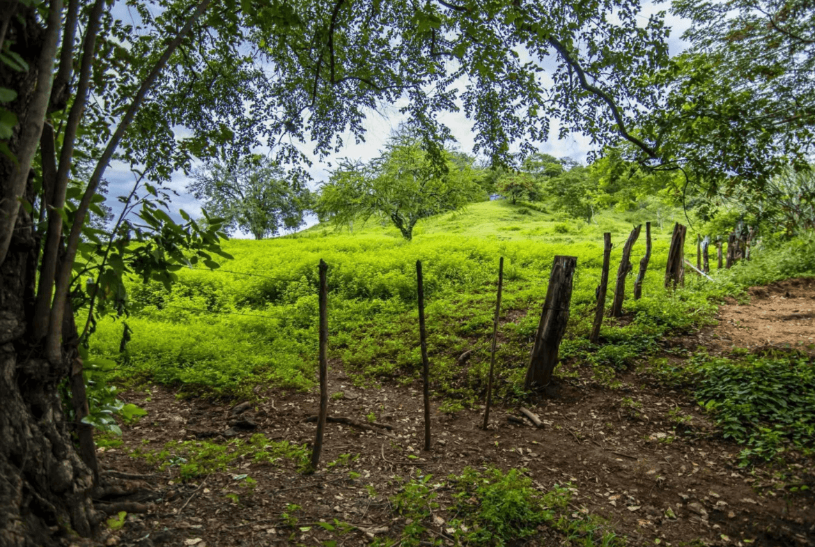צילום מסך 2024-02-22 ב-11.26.09