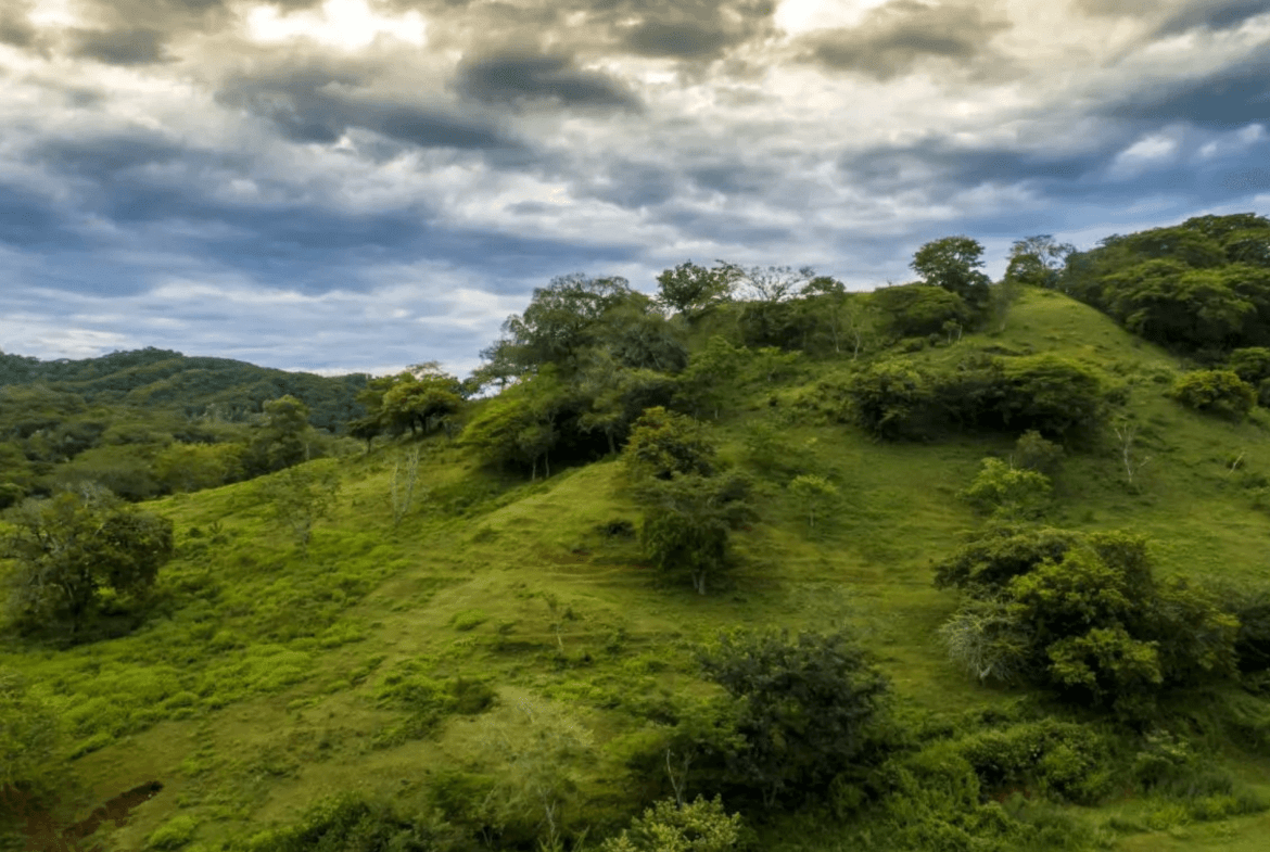 צילום מסך 2024-02-22 ב-11.26.25