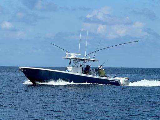 11b33512-f1d9-417c-90c6-a7301a0afc7f