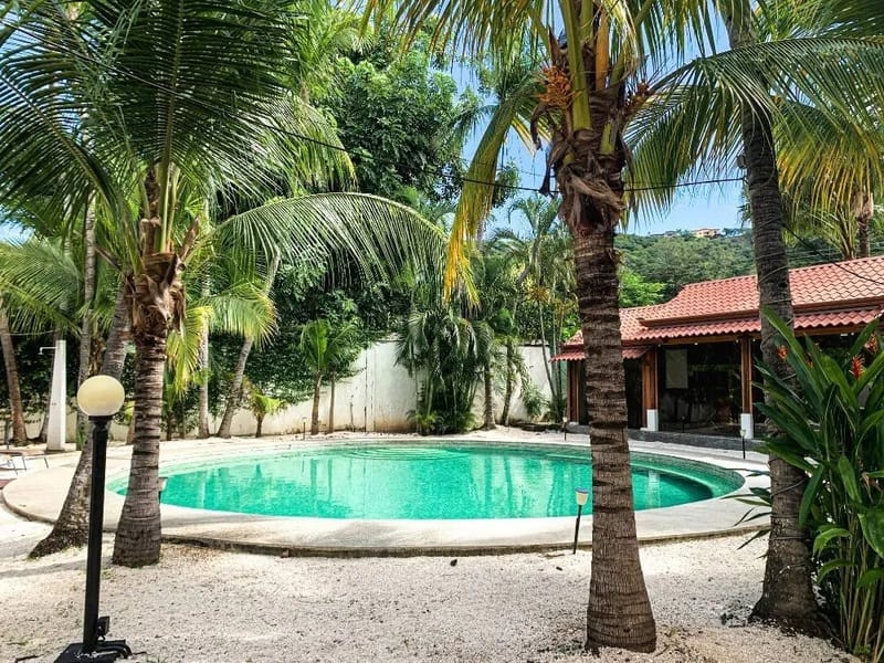 16372640669406426 (1)