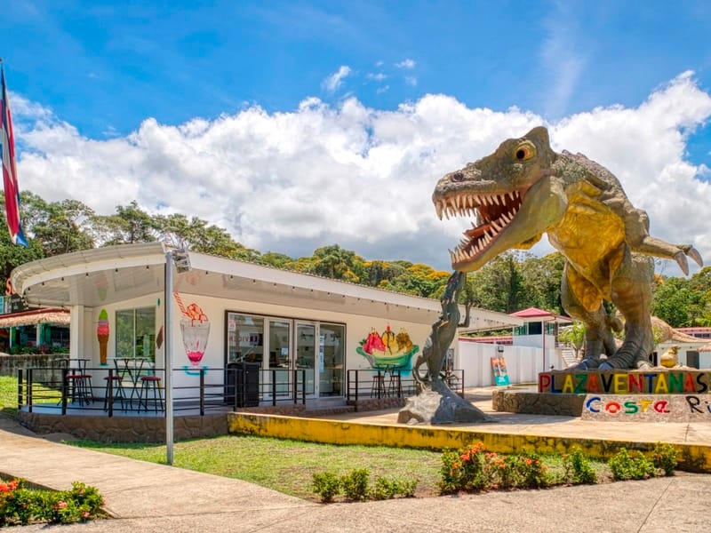 _38I2019_edit (Large)