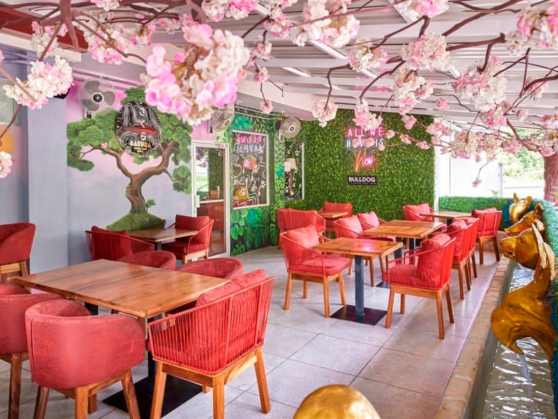 _38I2190_HDR (Large)