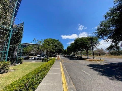 462c5af3492ae68b4239c98006257dc5