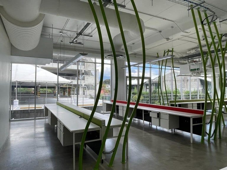 5084688036b68fcbe7f34a418691c5d8