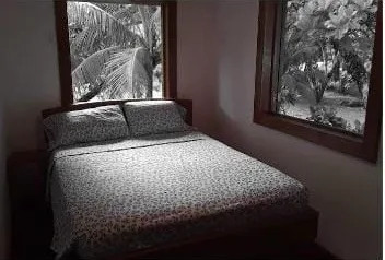 84b29992-5926-4f77-b377-ea3dc2a901ce 2