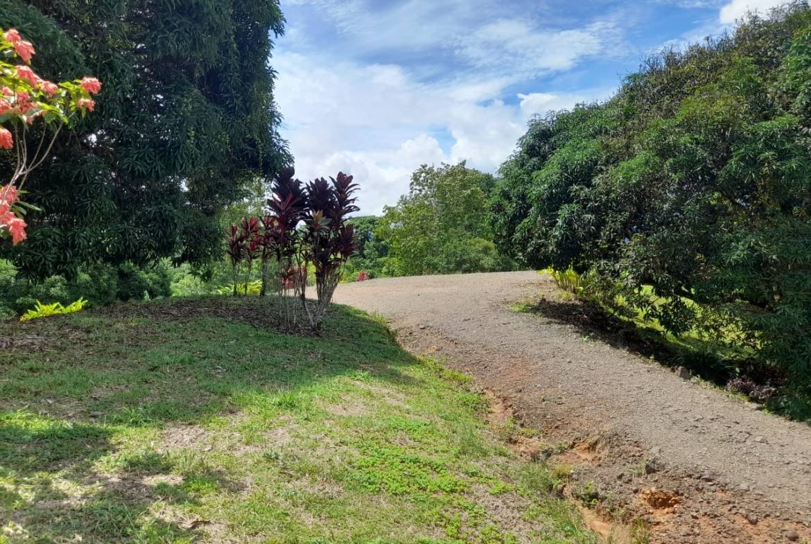 Land in Costa Rica