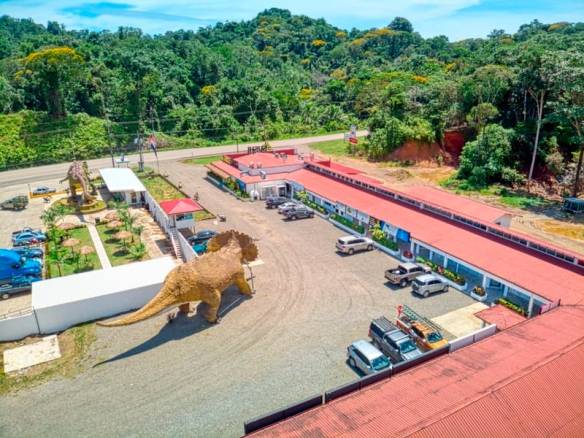 DJI_0132_edit (Large)