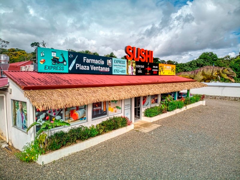 DJI_0235_edit (Large)