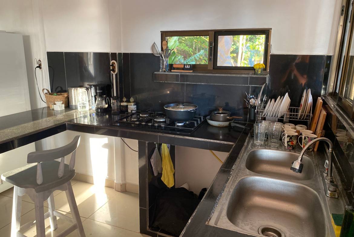 DJI_20240306_170538_885