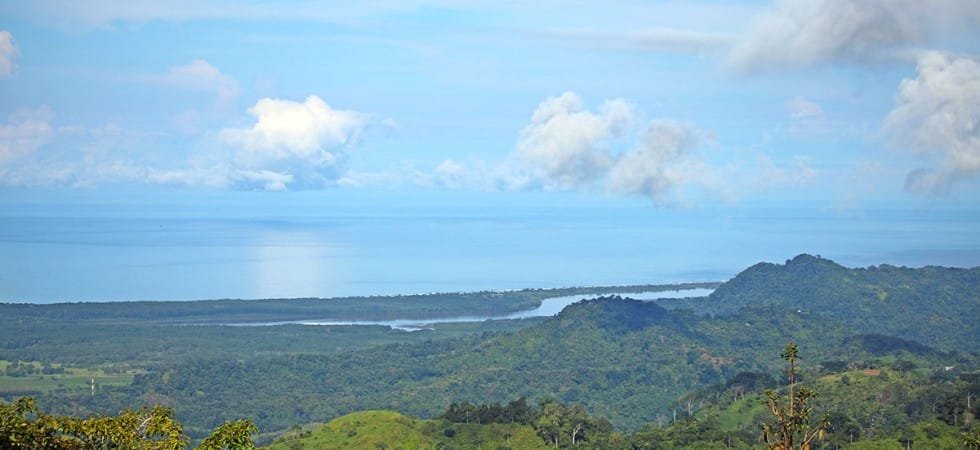 IMG_4213-980x450-min