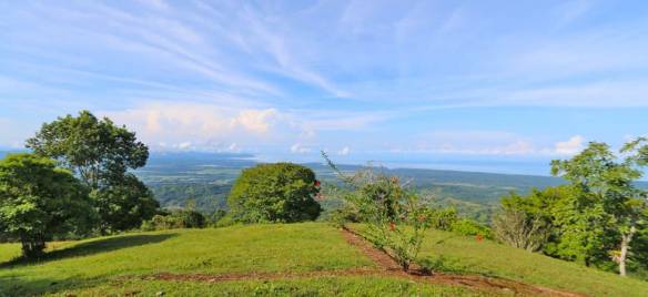 IMG_4239-980x450-min