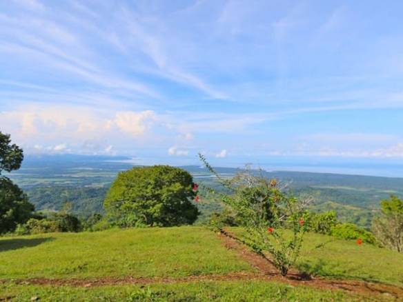 IMG_4239-980x450-min