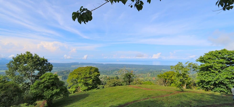 IMG_4244-980x450-min