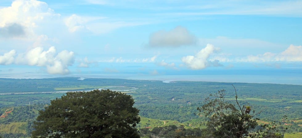 IMG_4253-980x450-min