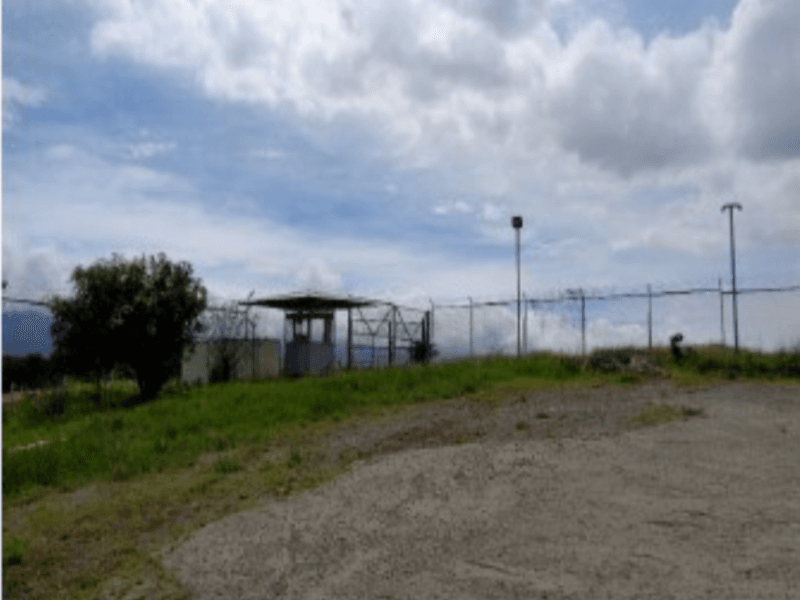 Screen Shot 2022-08-12 at 2.46.57 PM