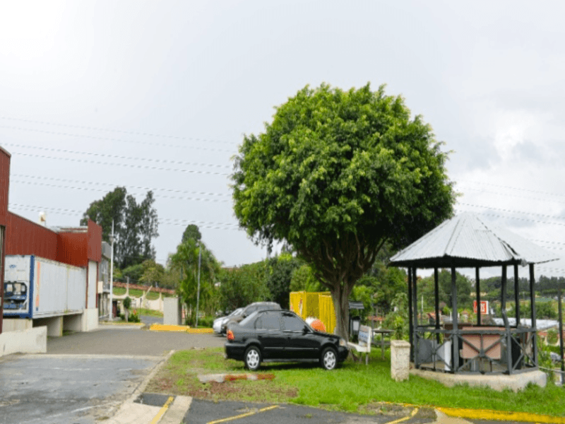 Screen Shot 2022-08-12 at 2.47.06 PM