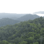 Screenshot 2024-01-26 at 14.37.37