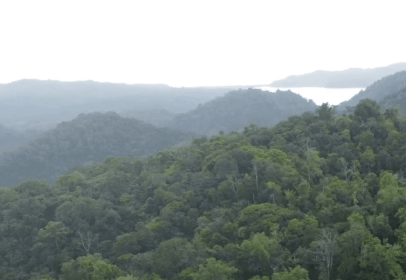 Screenshot 2024-01-26 at 14.37.37