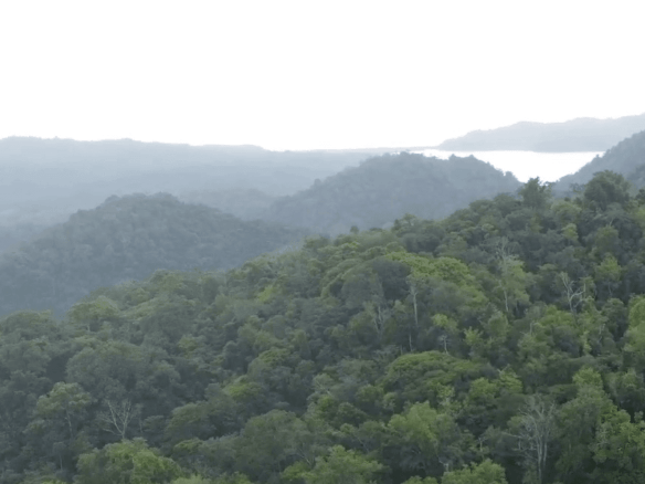 Screenshot 2024-01-26 at 14.37.37