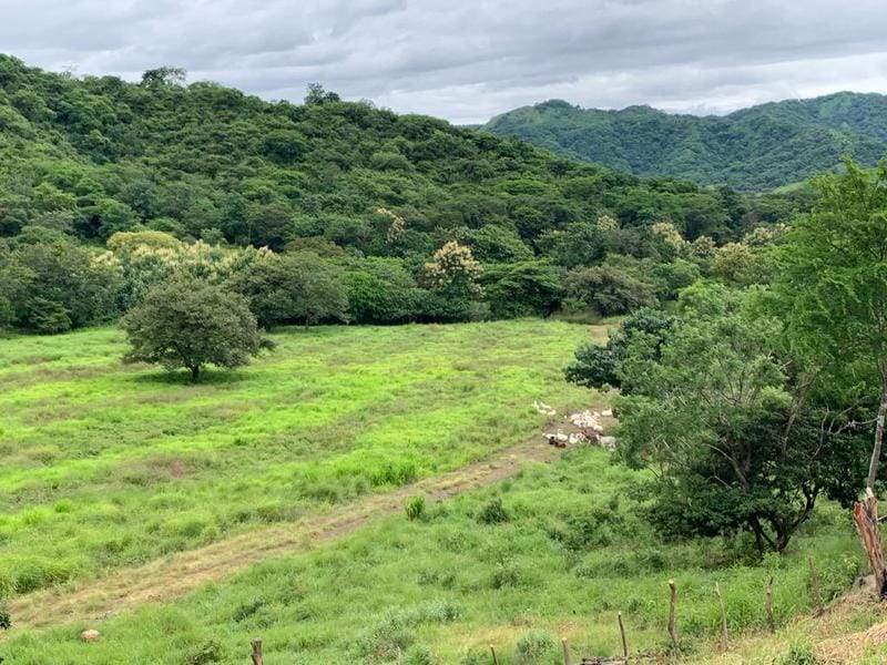 WhatsApp Image 2022-07-20 at 1.17.18 PM (1)