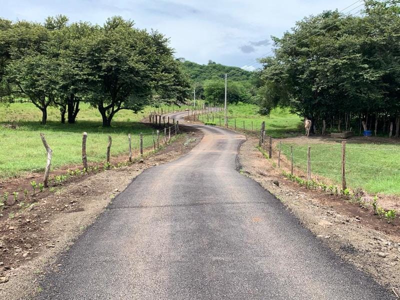 WhatsApp Image 2022-07-20 at 12.24.49 PM