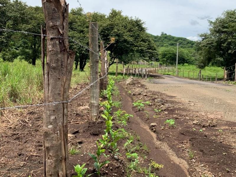 WhatsApp Image 2022-07-20 at 12.24.50 PM (1)