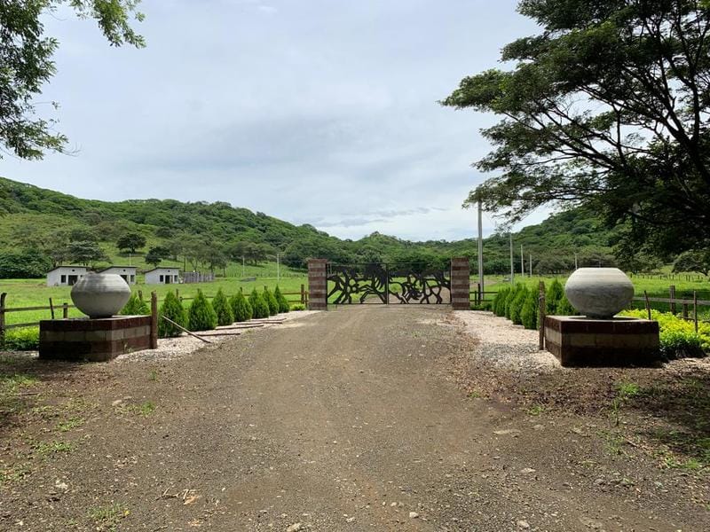 WhatsApp Image 2022-07-20 at 12.24.58 PM