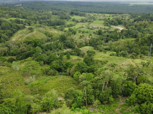 WhatsApp Image 2024-03-24 at 4.11.57 PM